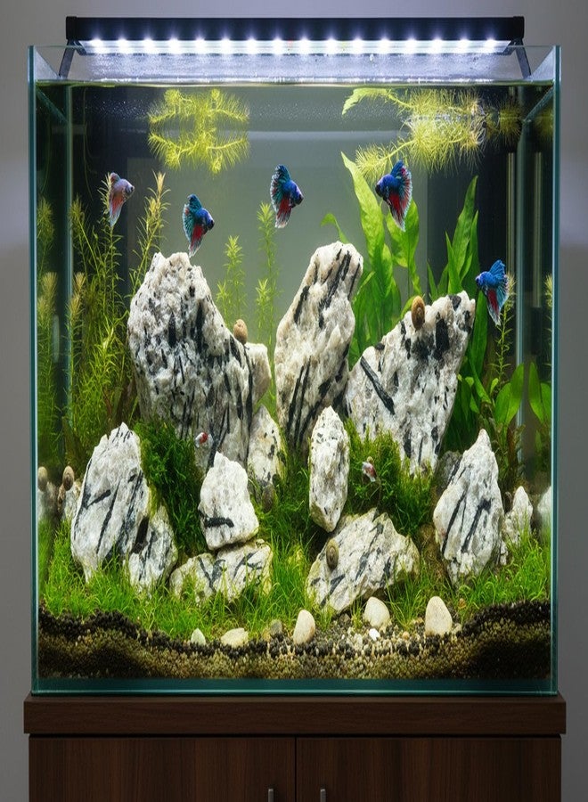 RUKDA® Natural Black Tourmaline in Quartz Decorative Rock - Rare Natural Stone for Aquarium, Terrarium, Turtle Tank & Home Decor (0.9Kg) - Image 2